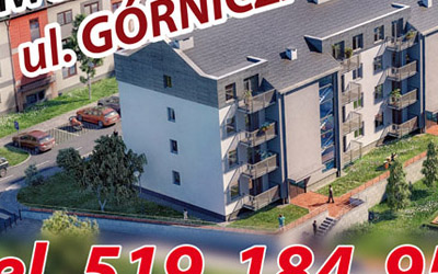 grafik lubin portfolio