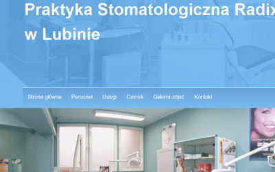 grafik lubin portfolio